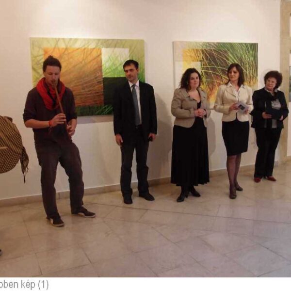 2014 Győr, Képben kép (1)